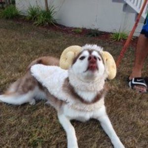 Meet your Posher, Teresa